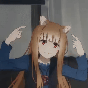 shalomturco