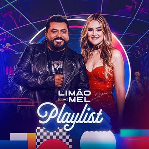 Image pour 'Playlist (Ao Vivo)'