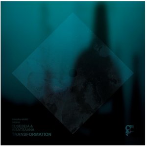 Image for 'Transformation'