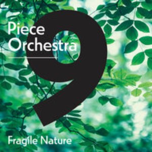 Image for '9-Piece Orchestra: Tales of History'