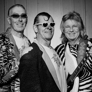Image for 'Electric Banana band'