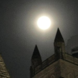 Image for 'howling'