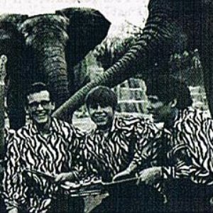 “The Zoo”的封面