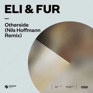 'Otherside (Nils Hoffmann Remix)' için resim