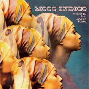 Image pour 'Moog Indigo'