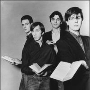“The Fleshtones”的封面