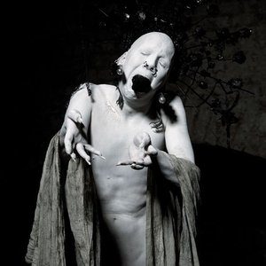 “Sopor Aeternus & The Ensemble of Shadows”的封面