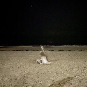 Image for 'Blurred'