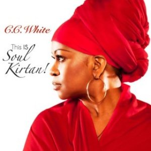Image for 'This IS Soul Kirtan!'