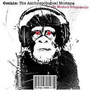 Image for 'Cookie: The Anthropological Mixtape (Pa Version)'