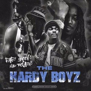 “THE HARDY BOYZ”的封面