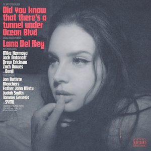 Image pour 'Did you know that there's a tunnel under Ocean Blvd'