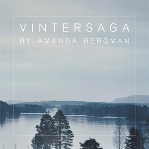 Image for 'Vintersaga'