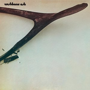 “Wishbone Ash”的封面