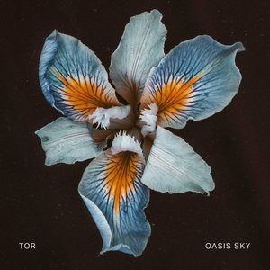 Image for 'Oasis Sky'