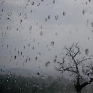 Image for 'Barulho de chuva'