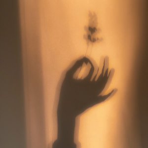 Image for 'Simplicity'