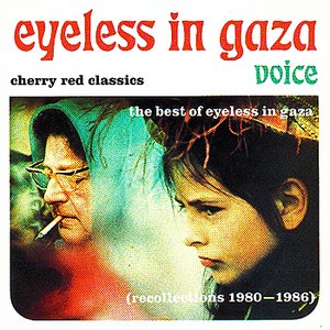 Image for 'Voice - The Best Of Eyeless In Gaza'