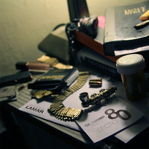 “Section.80”的封面