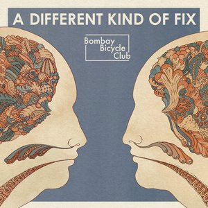 Image for 'A Different Kind Of Fix (Deluxe)'