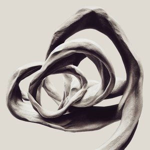 Image for 'Infinita Series'