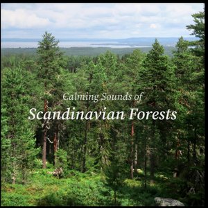 Image for 'Calming Sounds of Scandinavian Forests'