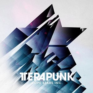 “TeraPunk”的封面