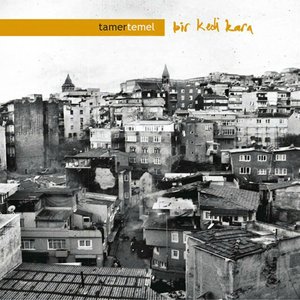 Image for 'Bir Kedi Kara'