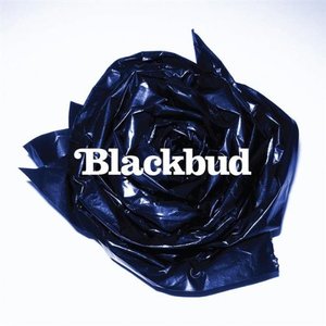Image for 'BlackBud'