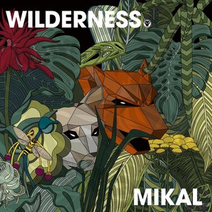 Image for 'Wilderness'