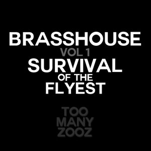 Image for 'Brasshouse, Vol. 1: Survival of the Flyest'