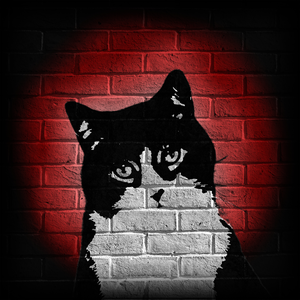 CatlordCam
