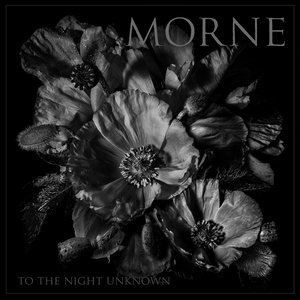 Image for 'To The Night Unknown'