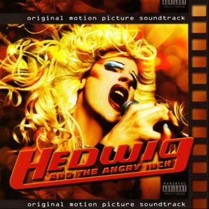 “Hedwig And The Angry Inch”的封面