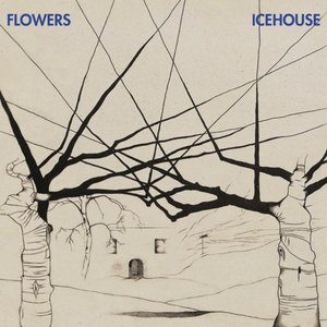 “Icehouse (30th Anniversary Edition)”的封面