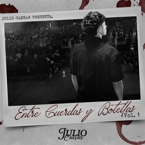 Image for 'Entre Cuerdas y Botellas, Vol. 1'