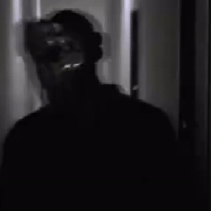 fedd2002