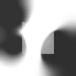 Immagine per 'The Gray Zone of Talk'