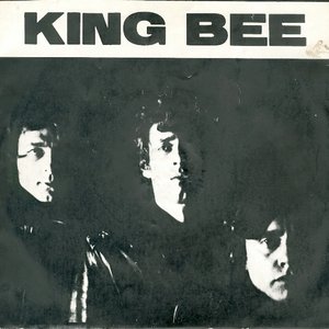 Image for 'King Bee'