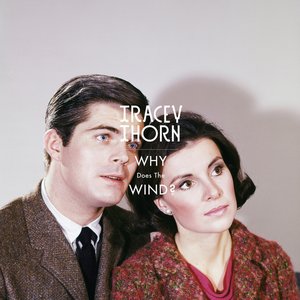 Image for 'Why Does The Wind?'