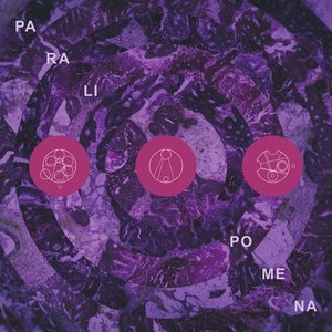 “Paralipomena”的封面