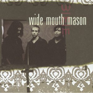 Image for 'Wide Mouth Mason'