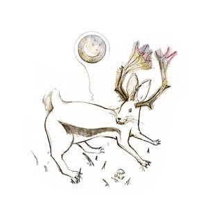 Immagine per 'Jackalope Tales'