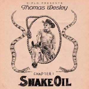 Chapter 1: Snake Oil