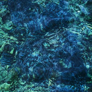 Image for 'Luminescent Creatures'