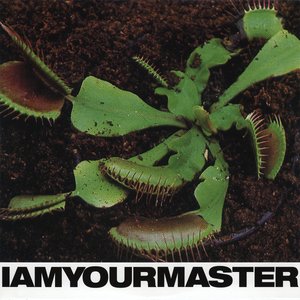 Image for 'I Am Your Master / Import (Remastered)'