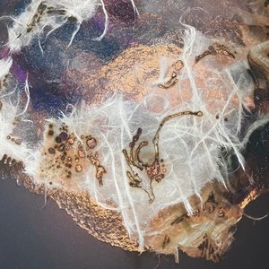 Image for 'mioboe'