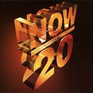 Image pour 'Now That's What I Call Music! 20'