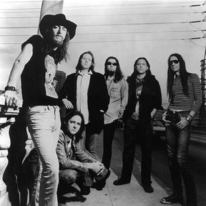 “The Black Crowes”的封面