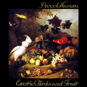 Bild för 'Exotic Birds And Fruit'